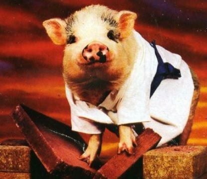 Happy Lunar NY 2019 (Year of the Pig) - 5 February Happy Lunar NY 2019 (Year of the Pig) - 5 February